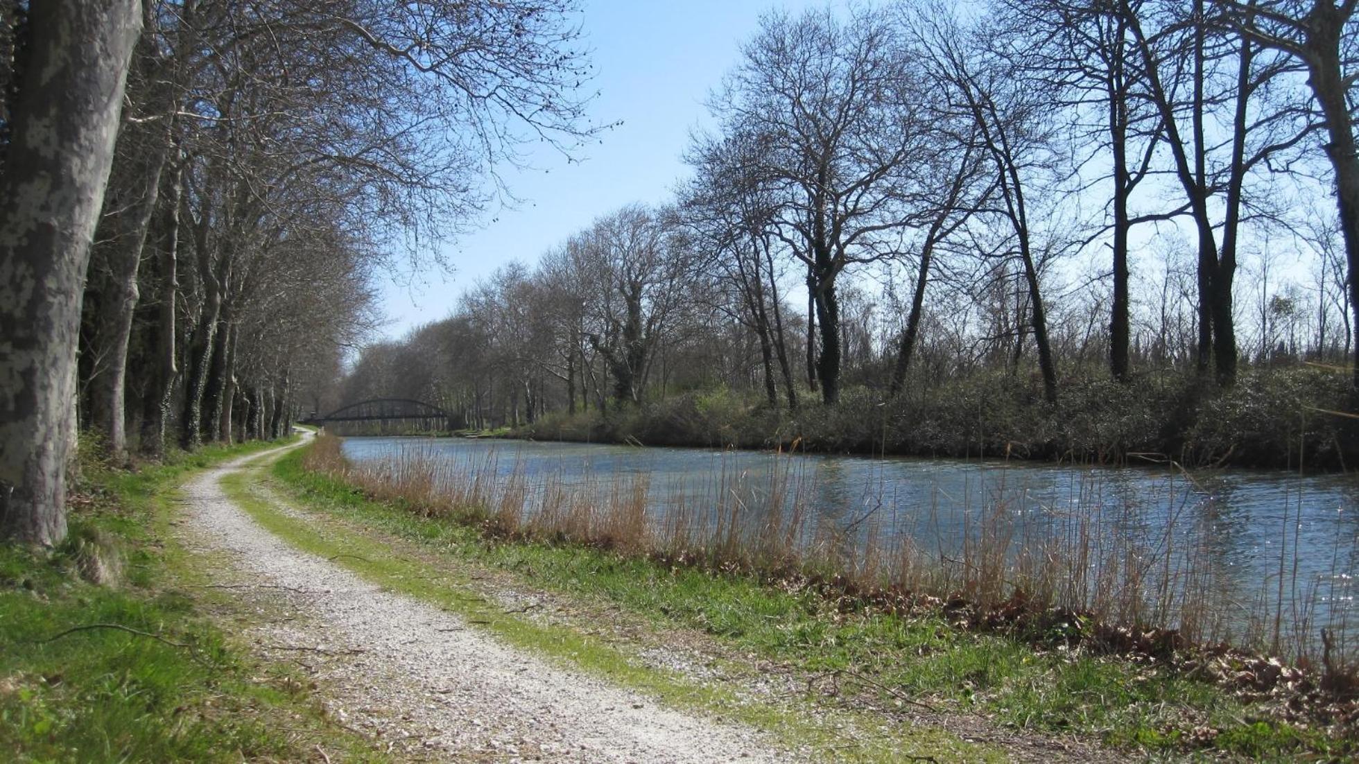 Lasbordes Chambres D'Hotes Domaine Saint-Joly מראה חיצוני תמונה